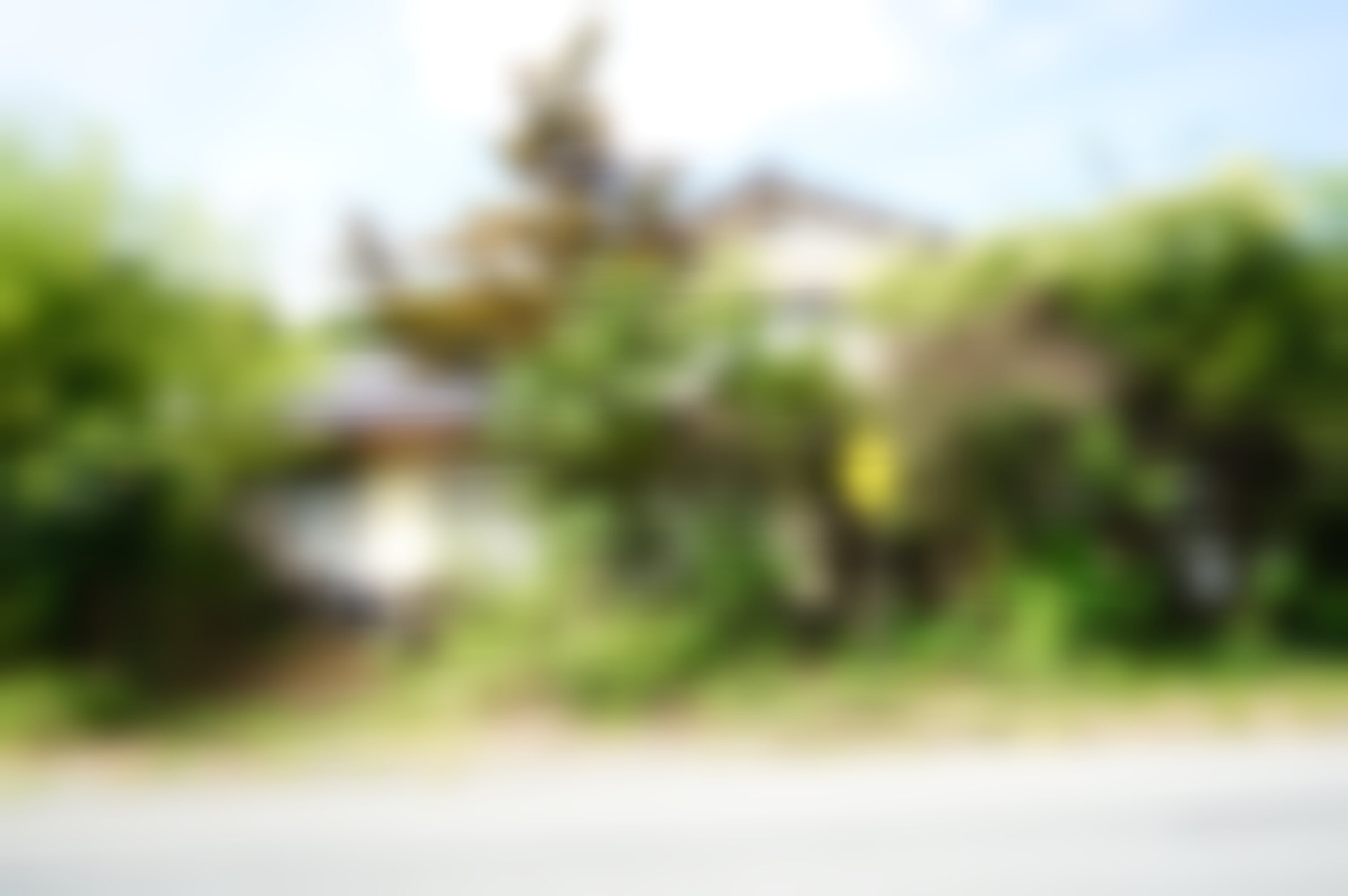 DSC07698sld