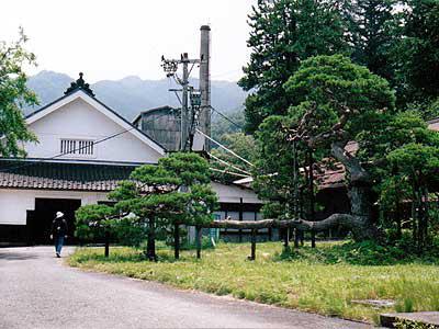 篠ノ井線踏切付近写真